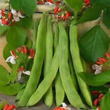 Vegetable runner bean for sale  WREXHAM