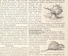 Alte lithographie stachelhumme gebraucht kaufen Alte lithographie stachelhumme gebraucht kaufen  Monheim