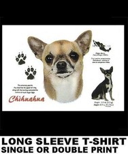 Short hair chihuahua for sale  Cape Coral