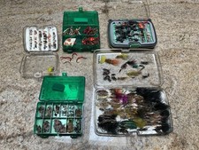 Large lot trout for sale  Las Cruces