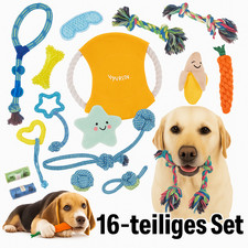 Hundespielzeug set 16er gebraucht kaufen  Salzgitter
