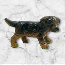 Goebel cocker spaniel for sale  Tulsa
