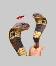 bengala cobra madeira, arte de bengala esculpida à mão cobra de madeira, usado comprar usado  Enviando para Brazil