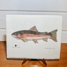 Vintage trout fish for sale  Louisa