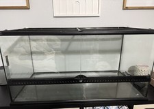 Gallon reptile tank for sale  Pinellas Park