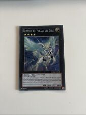 Numero pegaso del usato  Terni