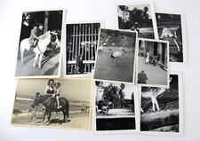 Lotto epoca animali usato  Rho
