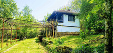 Charming bulgarian country for sale  NEWPORT