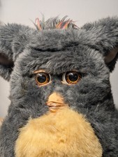 2005 fiesta furby for sale  Philadelphia