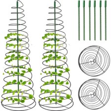 Spiral climbing plant for sale  UK