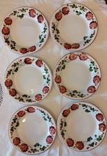 Set richard ginori usato  Italia
