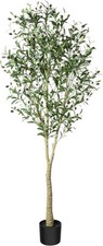 Crosofmi artificial olive for sale  Independence