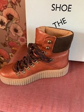 Shoe bear agda for sale  NUNEATON
