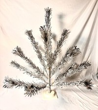 pom pom trees for sale pom pom trees for sale Saint Louis