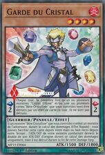 Garde cristal mp19 d'occasion  Argenteuil