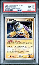 Pokemon raikou dpbp usato  Borgo a Mozzano