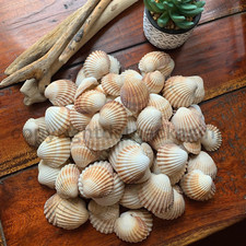 Large lot 100 for sale  FLEETWOOD