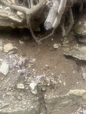 Pay dirt unsearched for sale  West Burlington