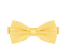 Papillon giallo farfalla usato  Napoli