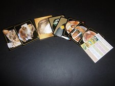 Lotto cards tutte usato  Rancio Valcuvia