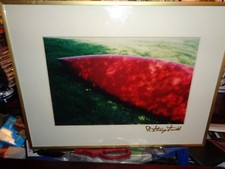 Usado, Richard Stacy Smith: Foto colorida 1990 "Metamorphasis" canoa em transição-uau comprar usado  Enviando para Brazil