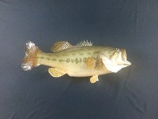 Vintage largemouth bass for sale  Bessemer