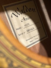 walden guitars for sale walden guitars for sale Sun Prairie