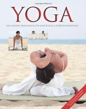 Yoga grosse praxisbuch gebraucht kaufen  Berlin