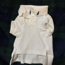 Ralph lauren polo for sale  Essex Junction