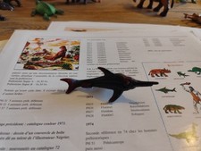 Ichthyosaure préhistoire dino d'occasion  Montivilliers