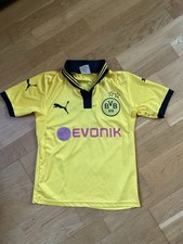 Bvb borussia dortmund gebraucht kaufen  Tutow