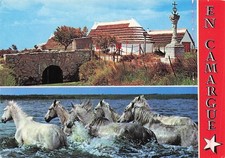 Camargue pont mort d'occasion  France