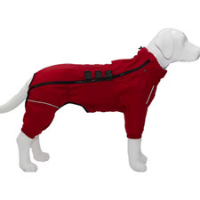 Lovelonglong warm dog for sale  BRIGHTON