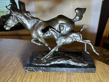 Horse foal running for sale  Rapid City