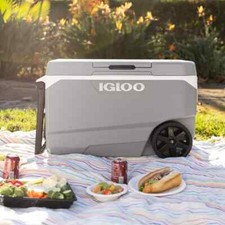 Igloo max cold gebraucht kaufen  Versand nach Germany
