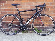 Focus izalco race for sale  MANCHESTER