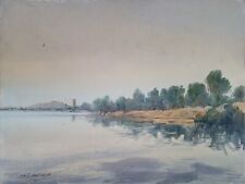 Usado, Silvestro Pistolesi "Nei pressi del Girone Arno" olio su cartone telatocm 40x30 comprar usado  Enviando para Brazil