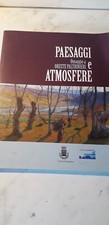 Pittura oreste paltrinieri usato  Roma
