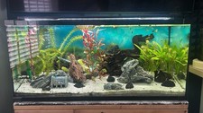 3ft fish tank for sale  GUISBOROUGH