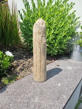 Treiholz schwemmholz driftwood gebraucht kaufen  Ratingen