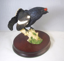 Scottish wildtrack blackcock for sale  GLASGOW