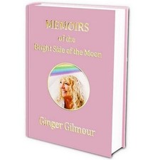 Memoirs bright side for sale  GRAVESEND