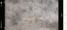 backdrop gebraucht kaufen backdrop gebraucht kaufen Berlin