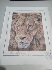 Stephen gayford soon for sale  YORK