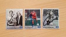 Panini sammelbilder franz gebraucht kaufen  Reinfeld