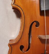 Violino liutera italiana usato  Reggio Emilia