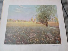 Litografia firmata numerata usato  Italia