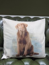 Chocolate labrador design for sale  SHREWSBURY