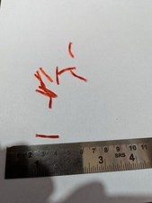 Artificial blood worms for sale  SOUTH SHIELDS