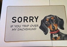 Sorry trip dachshund for sale  Flippin